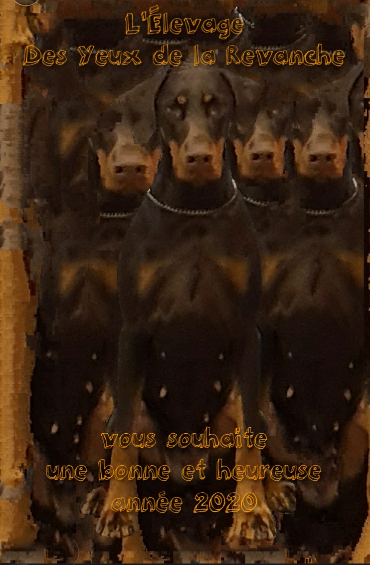 2019 12 30 21 27 38