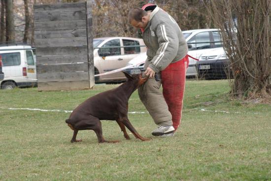 APPY EN CONCOURS