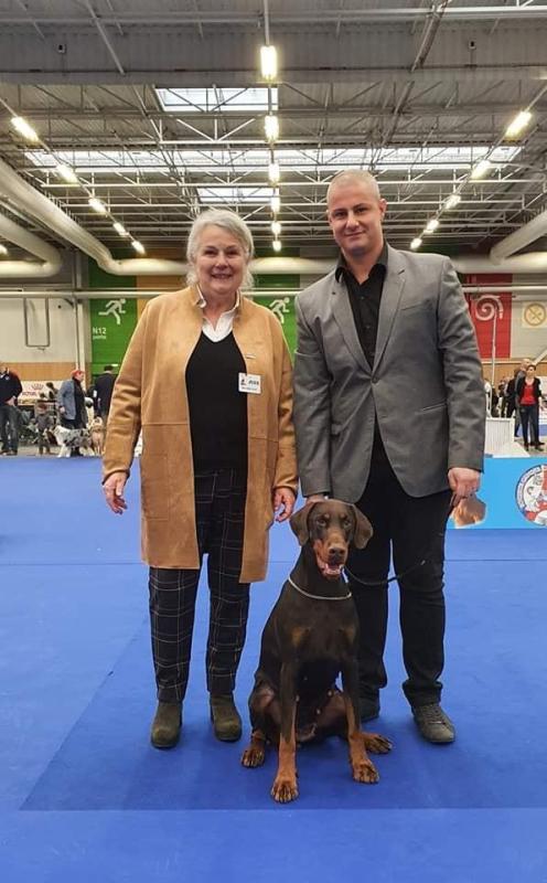 paris dog show