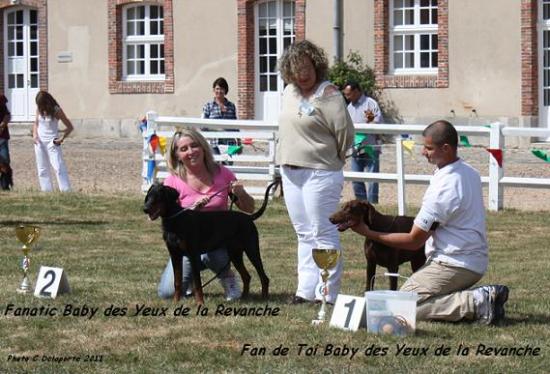 NE-2011-finale.jpg