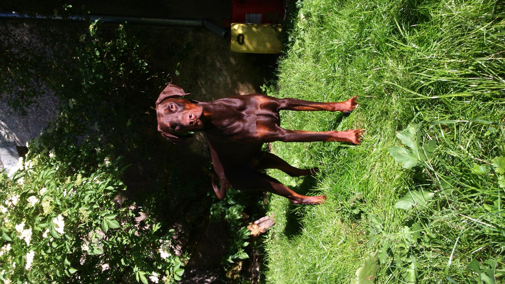 Dsc 1646