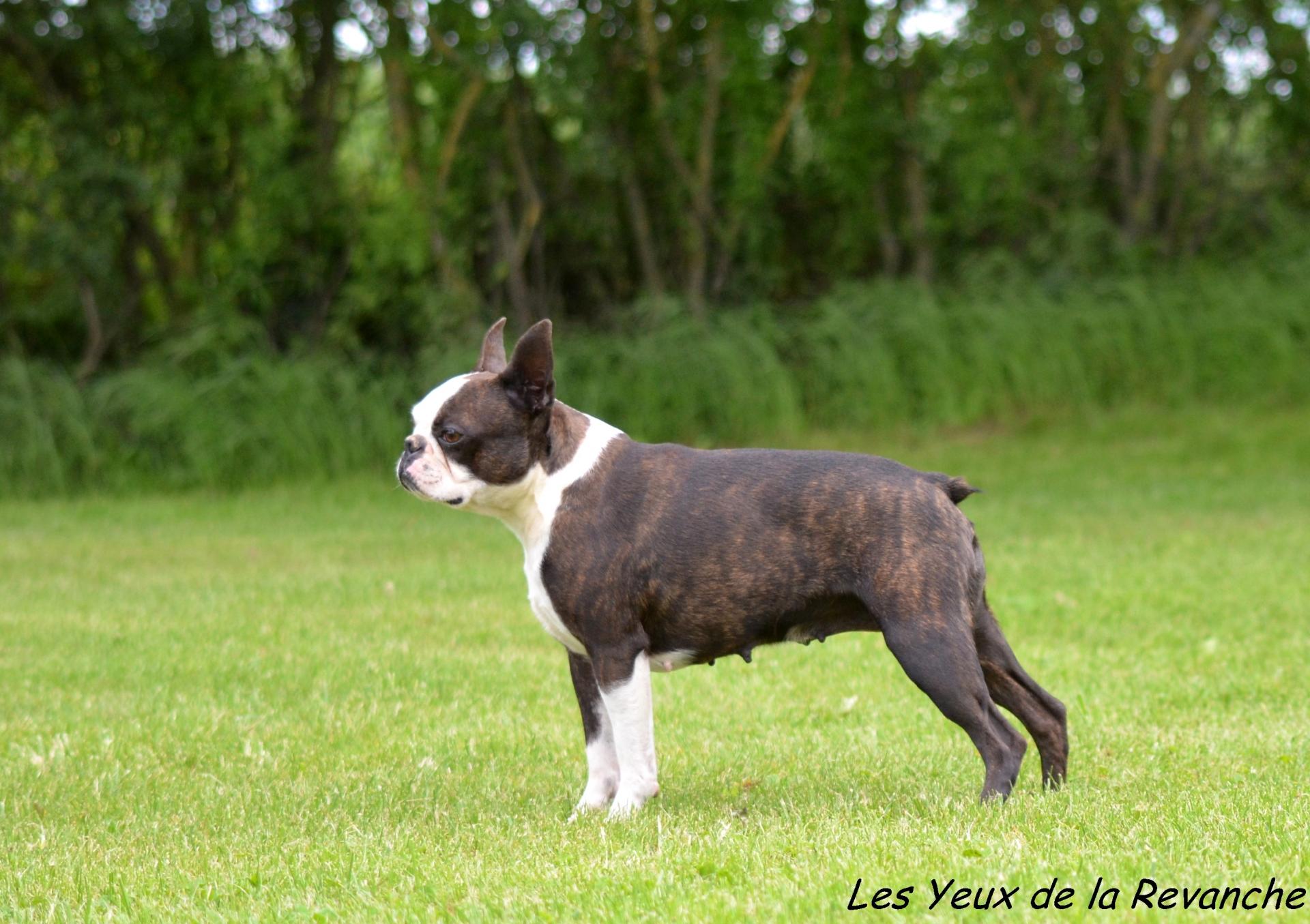 Dsc 5737 gf