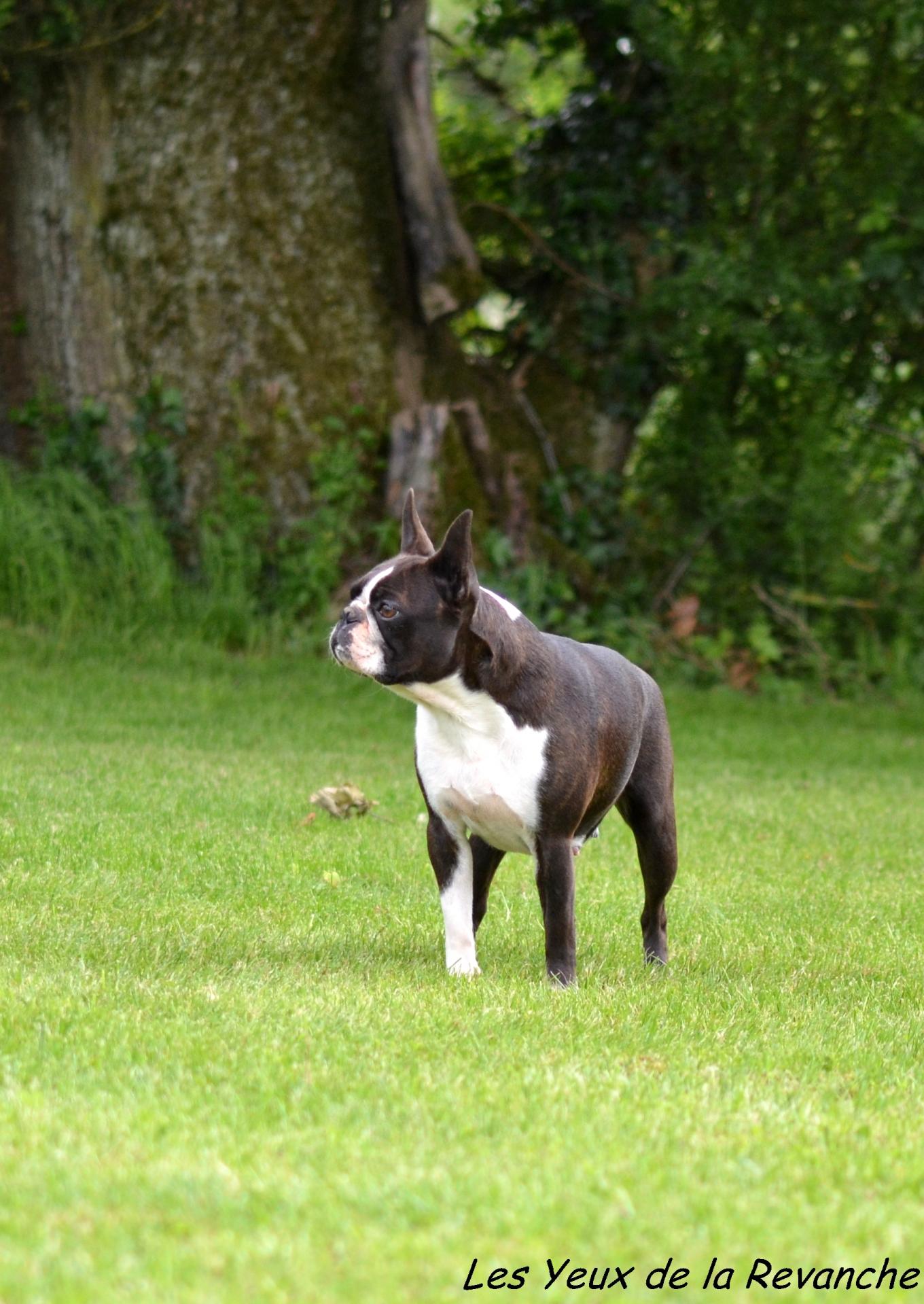 Dsc 5748 gf