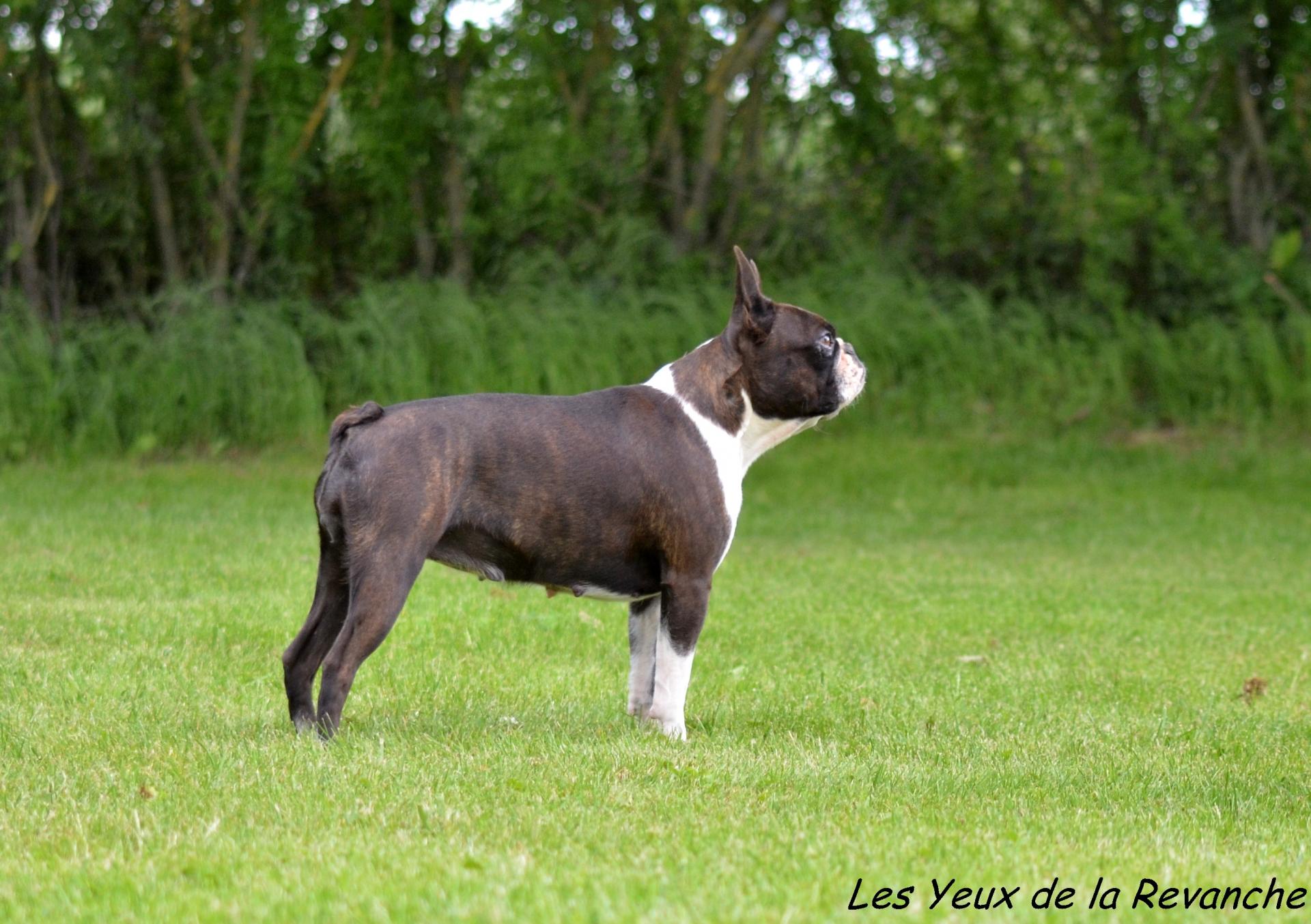 Dsc 5750 gf