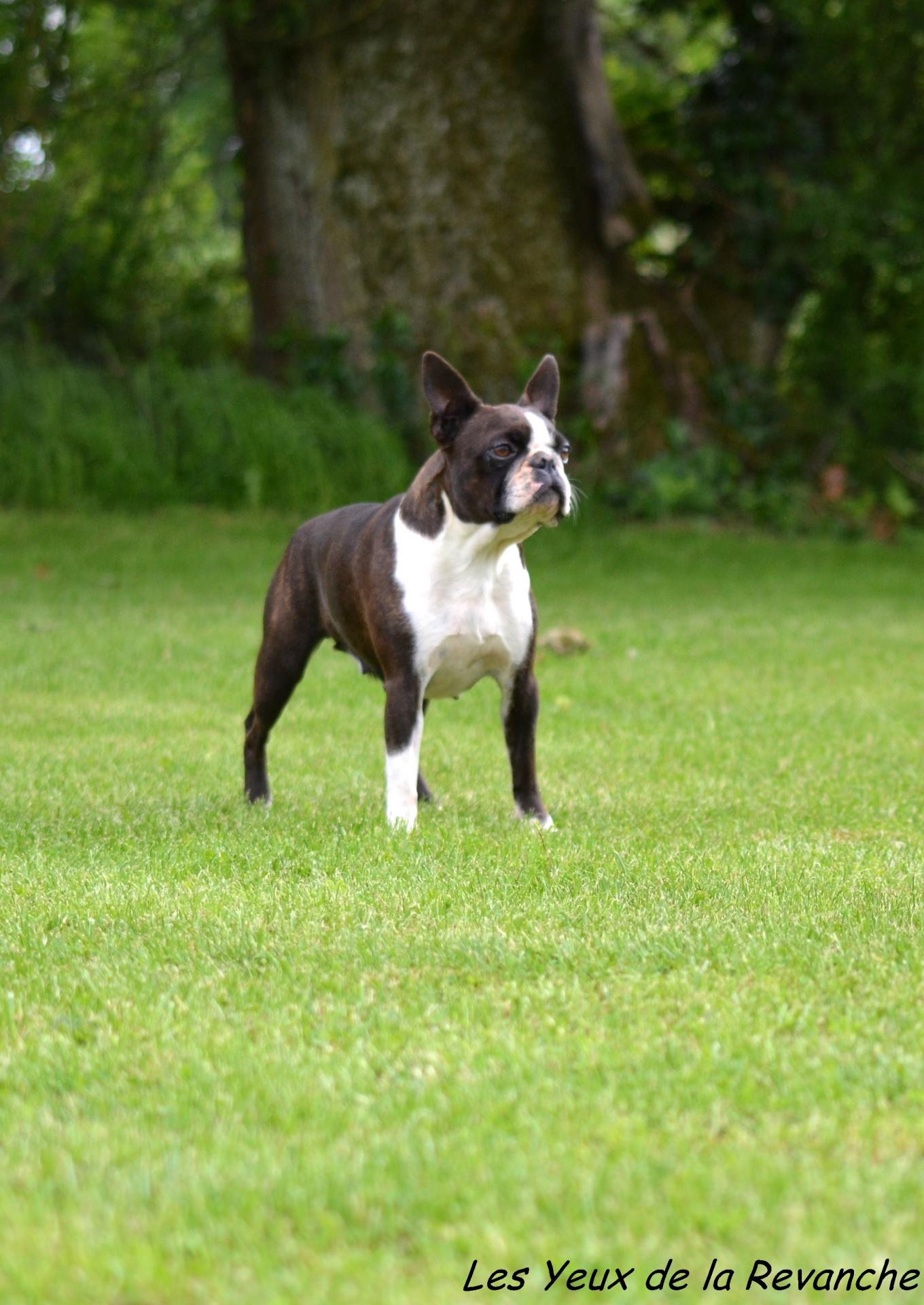 Dsc 5761 gf