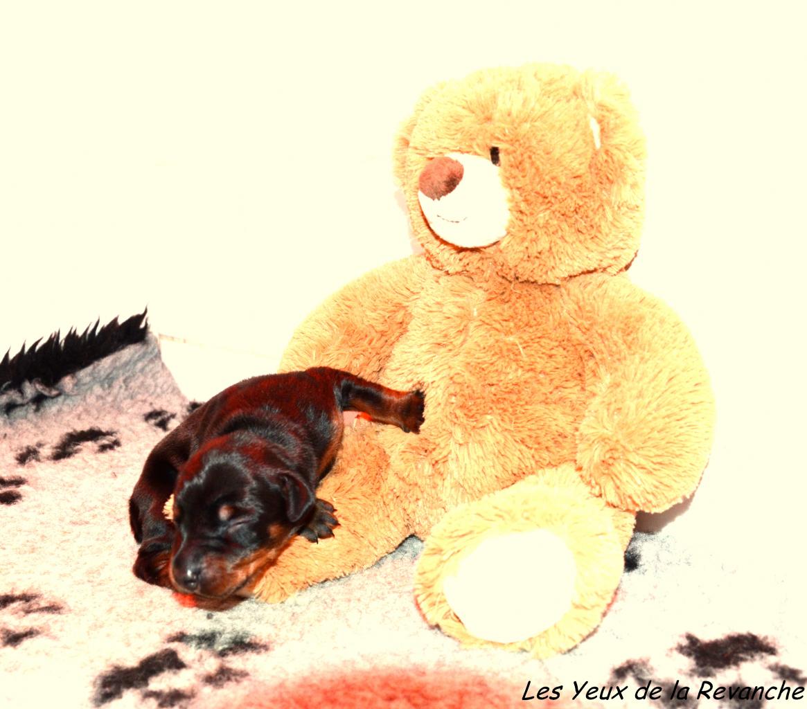 dsc-6214-gf.jpg