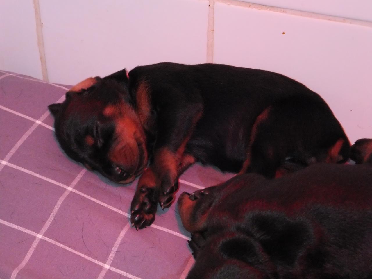 dscf0190.jpg