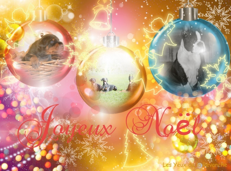 Joyeux noel 1