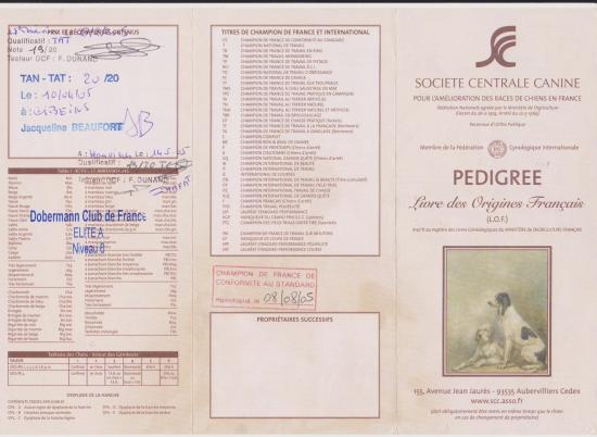 pedigree-Tabata11.jpg