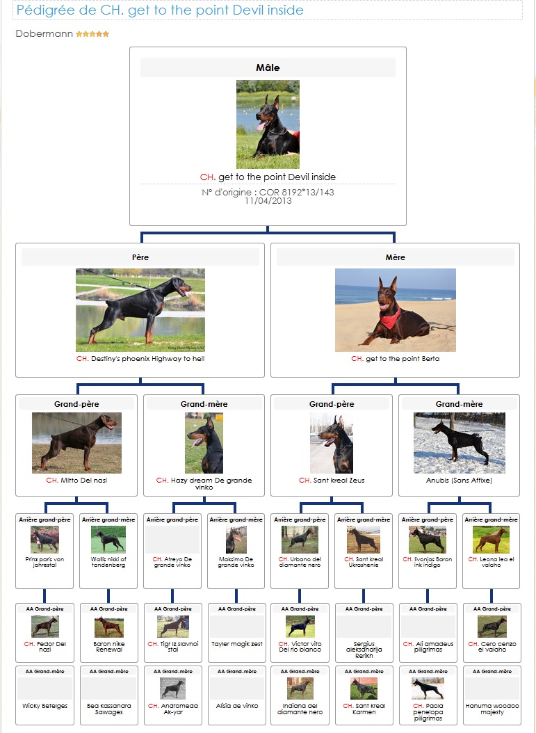 Pedigree devil