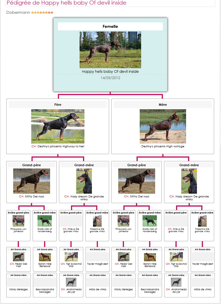Pedigree gypsie
