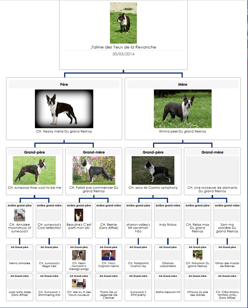 Pedigree j aime