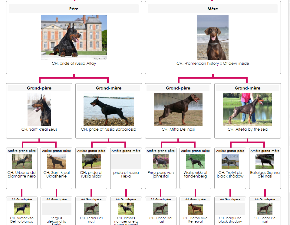 Pedigree