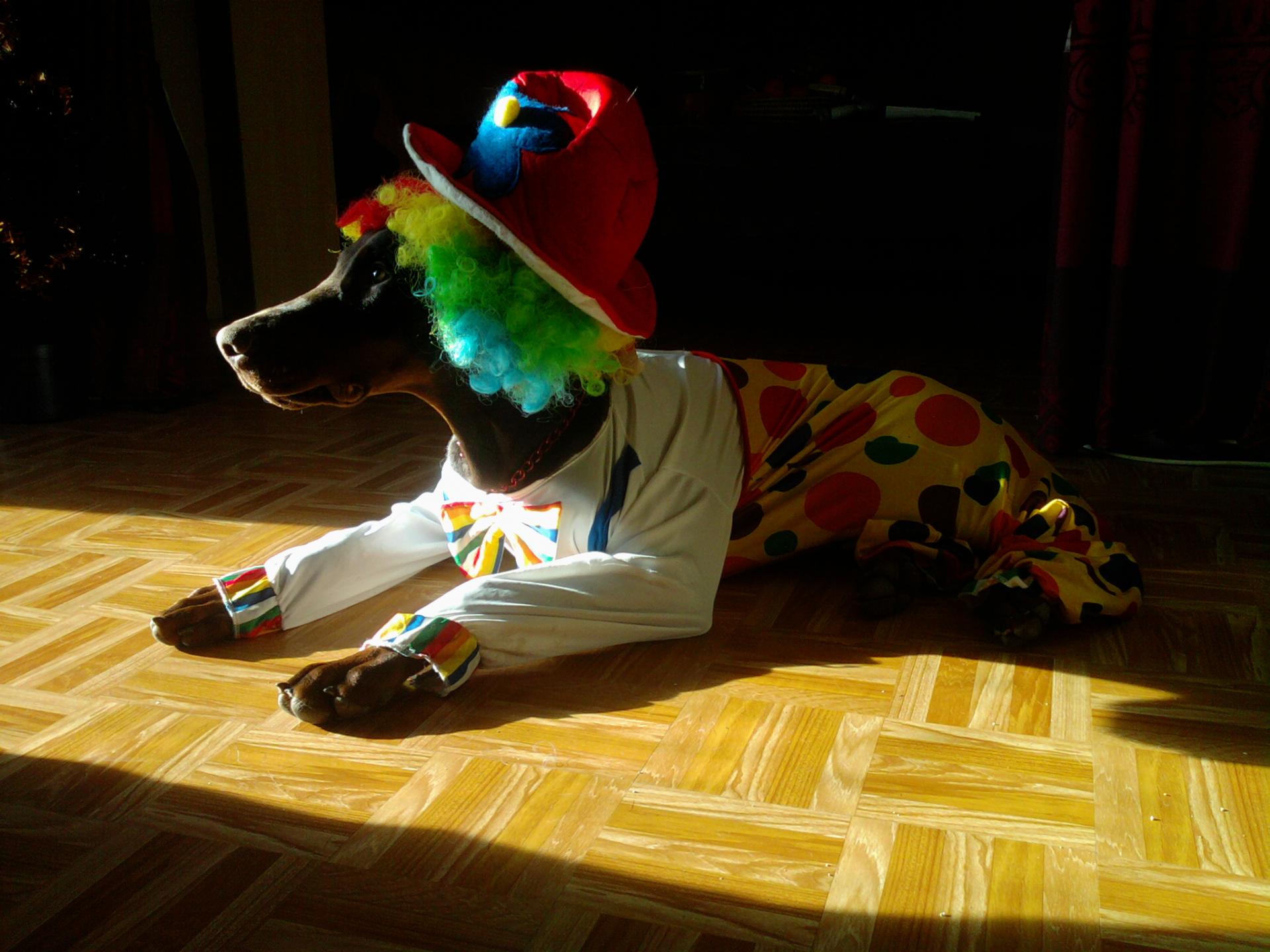 Photo0342