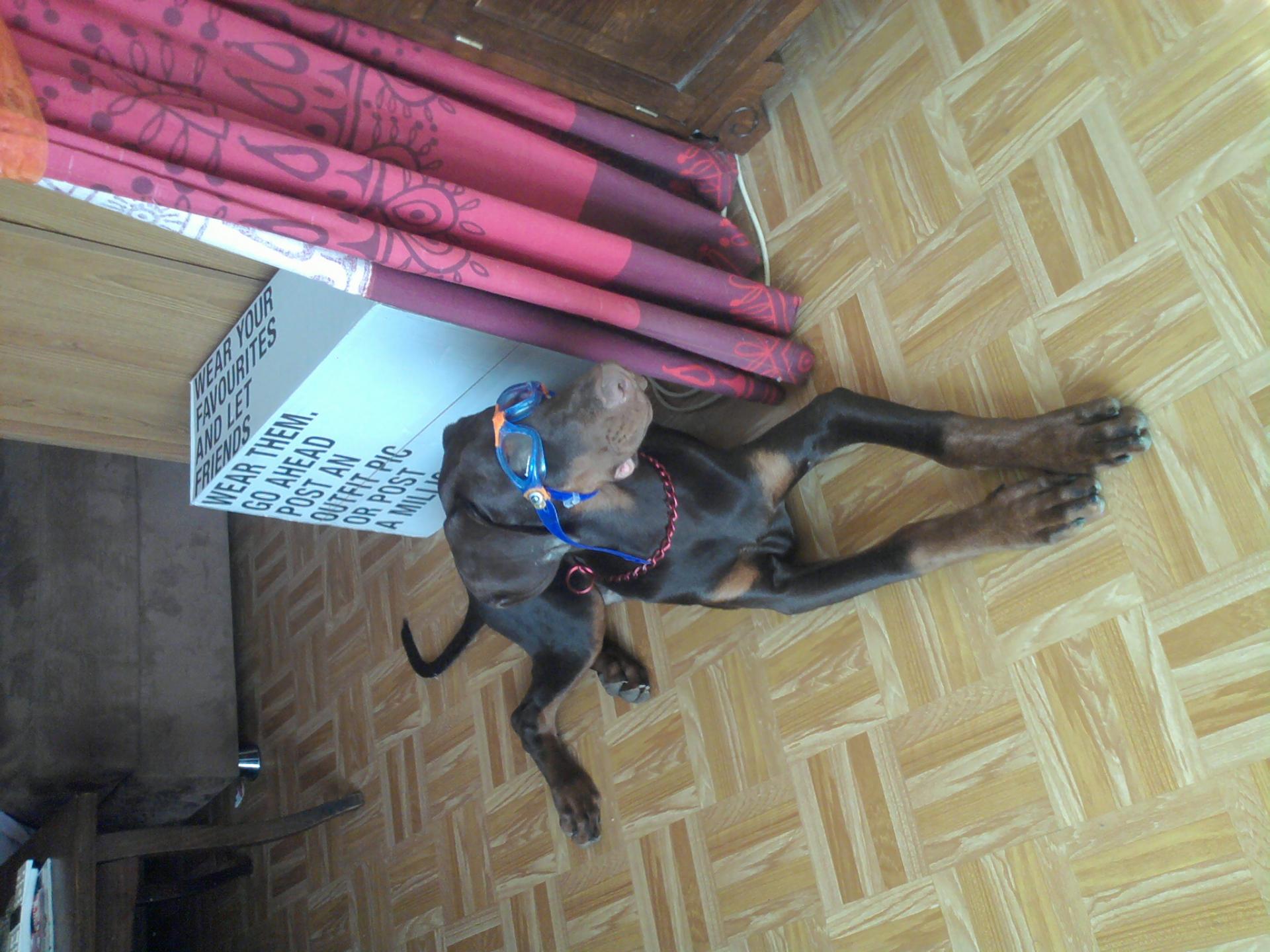 Photo0349