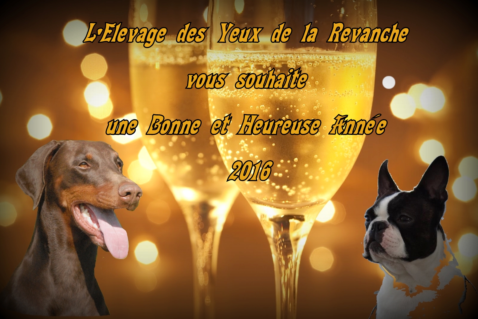 Voeux